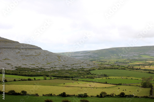 Burren Area (Ireland) limestone 