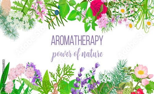 Card with essential oil plants. Frame Ornament with text aromatherapy. Power of nature