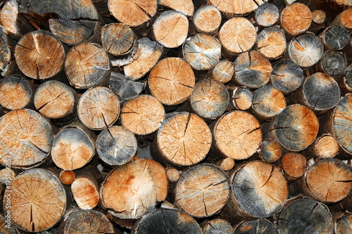 Fire Wood  aufgeschichtetes Brennholz