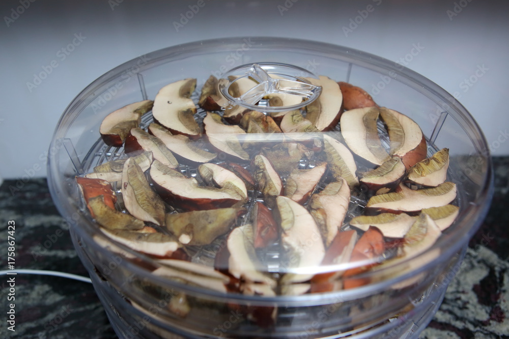 Mushrooms are one of the forest delicacies. Mushrooms are one of the forest delicacies.