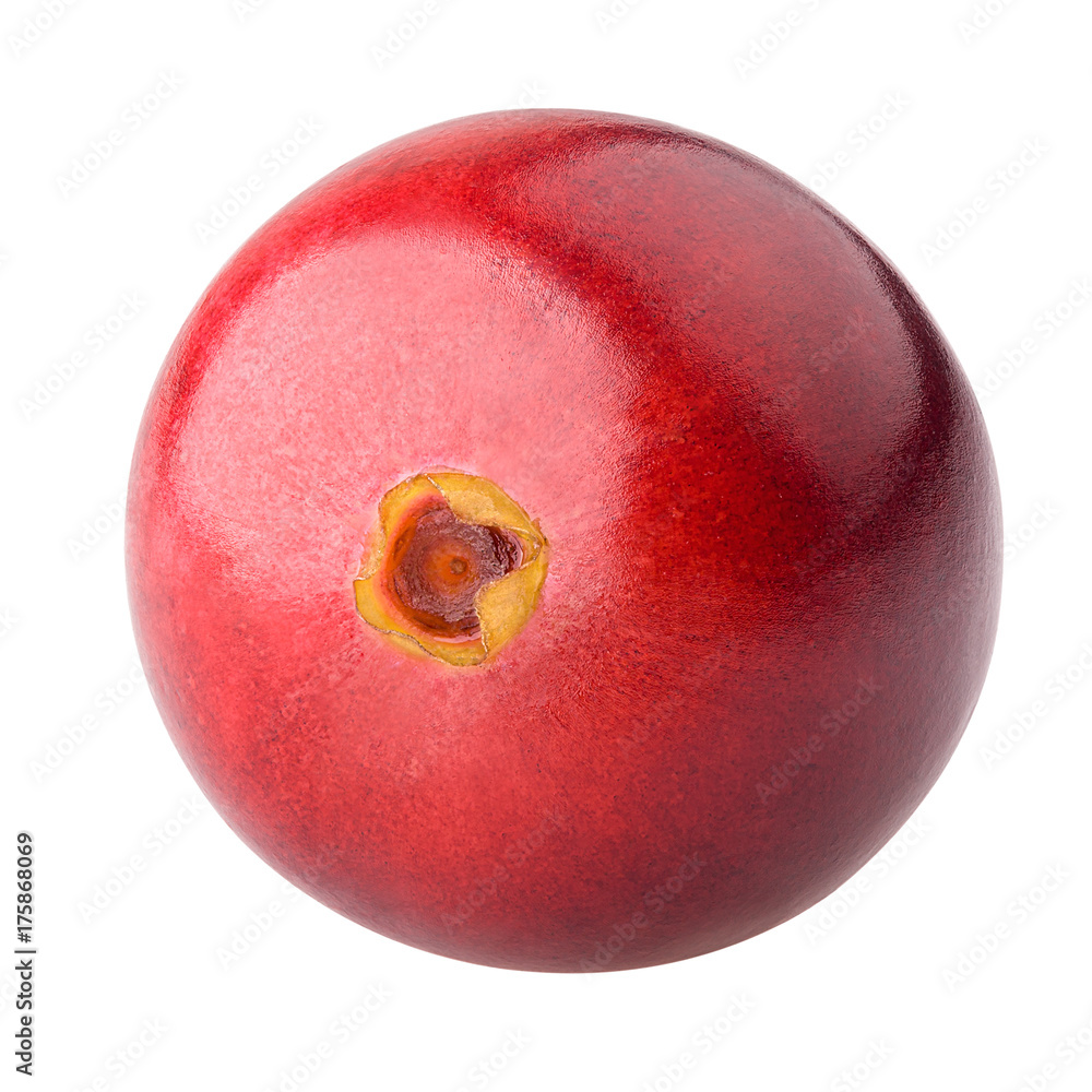 Obraz premium Cranberry, clipping path, isolated on white background, full depth of field, high quality