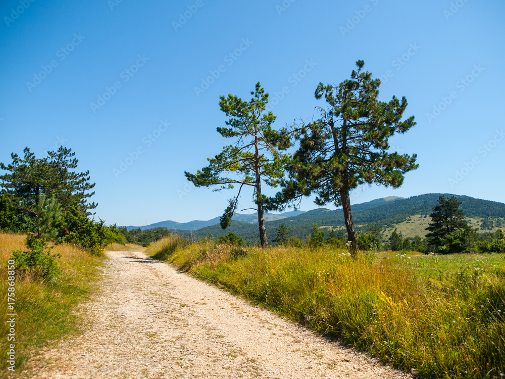 Dusty country road in landscape of Green Karst, Slovenia. Dusty country road in landscape of Green Karst, Slovenia.