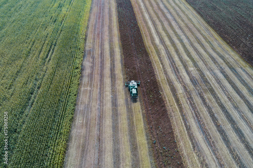 Harvester harvests a crop in a field next to a green field with corn. Ukraine. Aerial view.