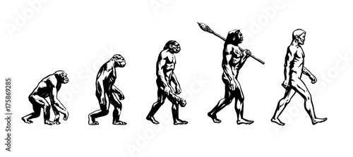 Evolution of man