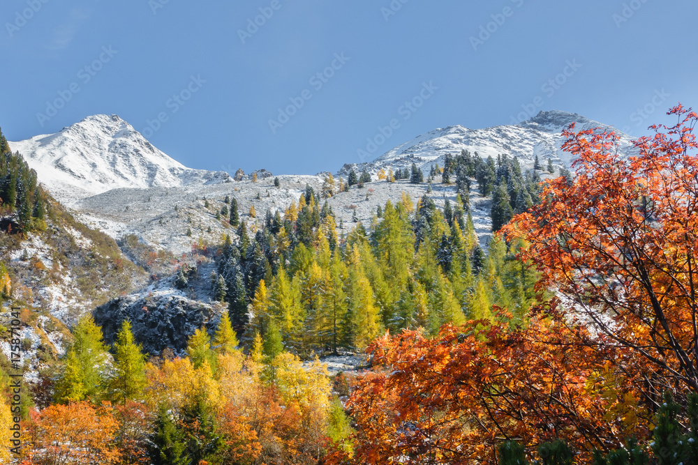 Herbstfarben in den Alpen