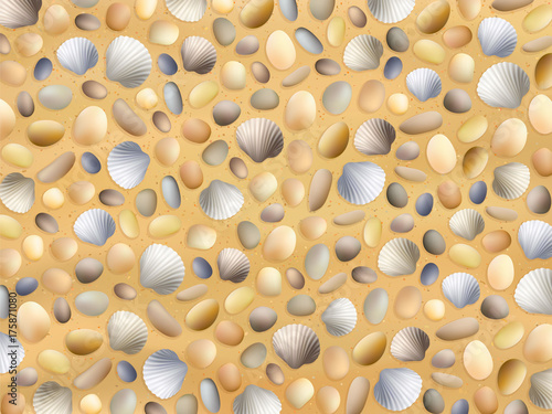 Shells sand sea background