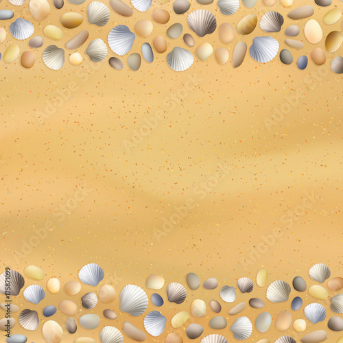 Shells sand seashore background