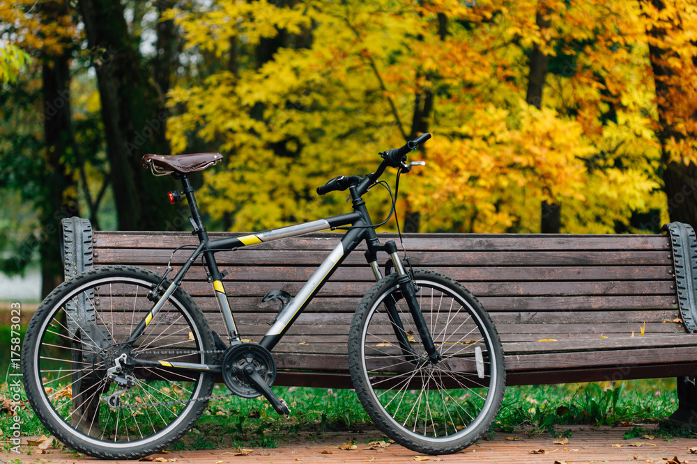 Bicycle standing near bench in colorful autumn park. Fall season background