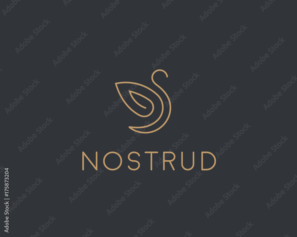 Abstract bird wing leaf logo design. Swan spa start vector logotype Abstract bird wing leaf logo design. Swan spa start vector logotype