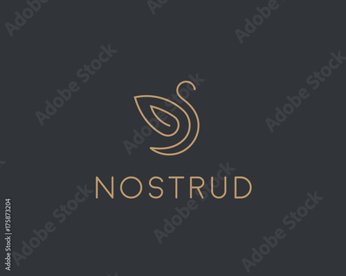 Abstract bird wing leaf logo design. Swan spa start vector logotype