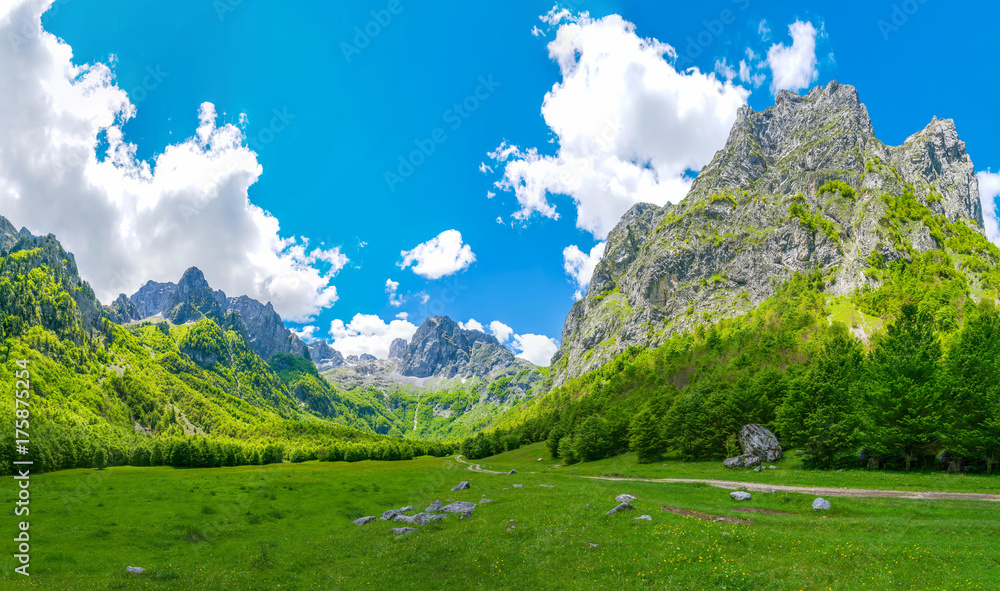 Spacious picturesque meadows among the huge mountains.