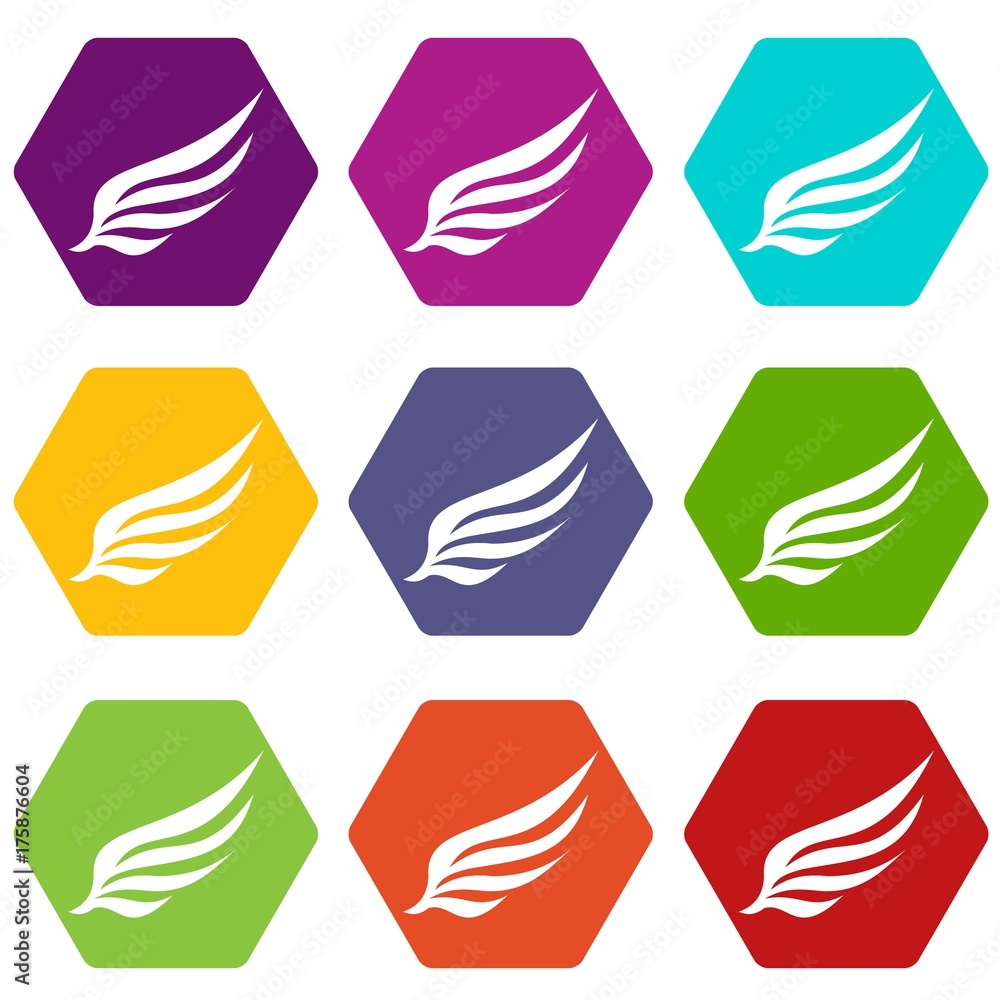 Fototapeta premium Wing icon set color hexahedron