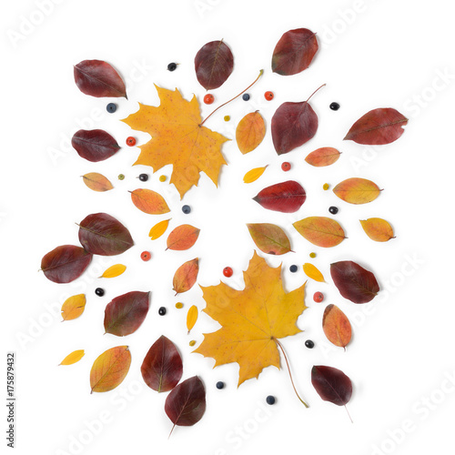 Autumn border. Composition of vibrant red and yellow leaves on a white background. Flat lay Top view trendy background.