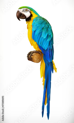 Ara parrot. Macaw. Photo realistic 3d vector icon