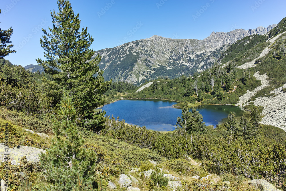 Amazing Panorama of Fish Vasilashko lake, Pirin Mountain, Bulgaria