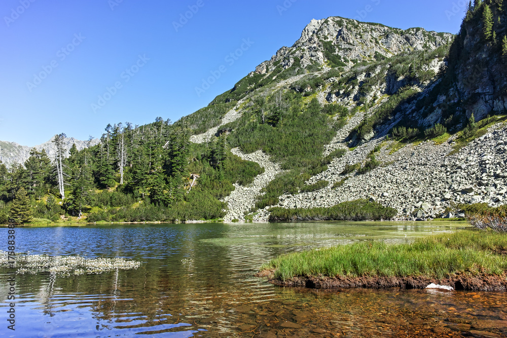 Amazing Panorama of Fish Vasilashko lake, Pirin Mountain, Bulgaria