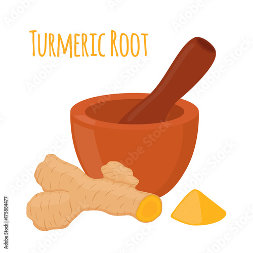 Turmeric root, pestle, mortar. Herbal spice. Cartoon flat style. Vector