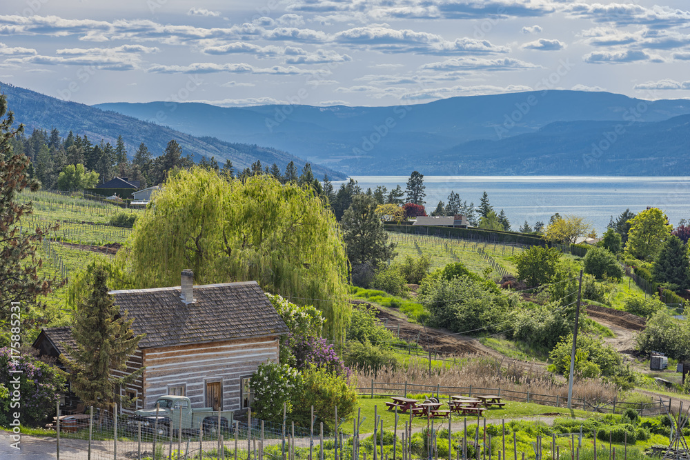Homestead Cabin and Orchard Okanagan Lake Kelowna British Columbia Canada