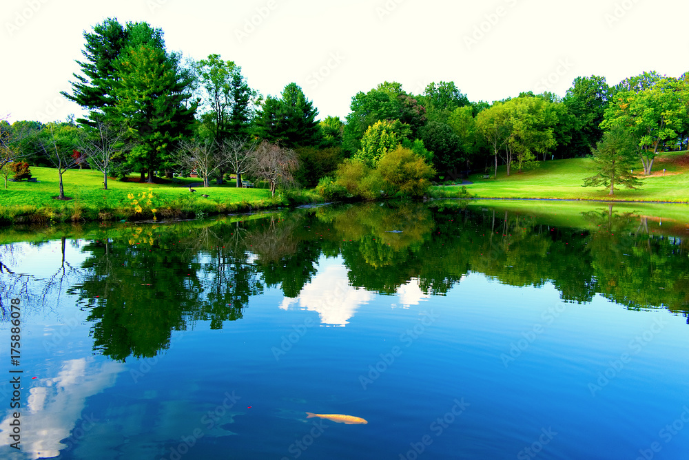 Nature Nature