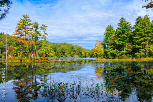 Fototapeta Naklejka Na Ścianę i Meble -  Autumn Reflection in Connecticut