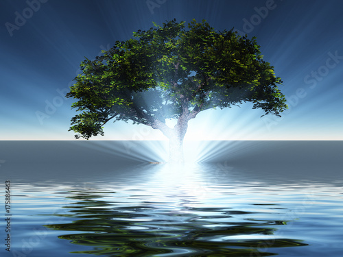 Canvas Print Green tree