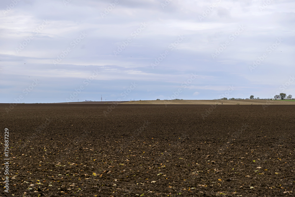 Fototapeta premium Harvested agricultural field strewn with autumn leaves