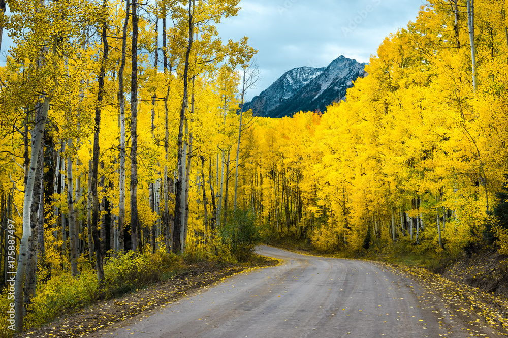 Naklejka premium Kebler Pass Road, Colorado