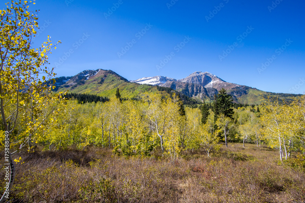 Mount Timpanogos in Autumn against a blue sky
