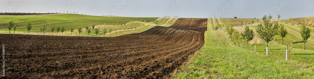 Moravian fields, Moravia, Czech Republic, around the village Kyjov - big panorama