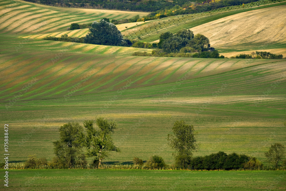 Moravian fields, Moravia, Czech Republic, around the village Kyjov 