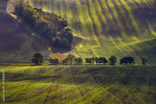 Moravian fields, Moravia, Czech Republic, around the village Kyjov  photo