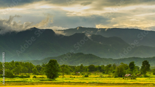 side road landscape