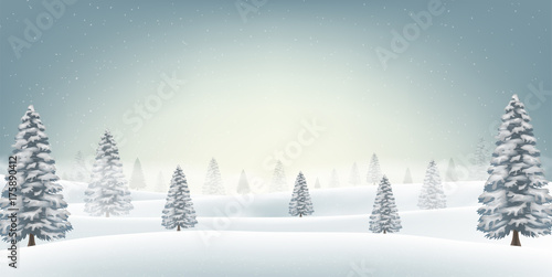 christmas snow field with tree background