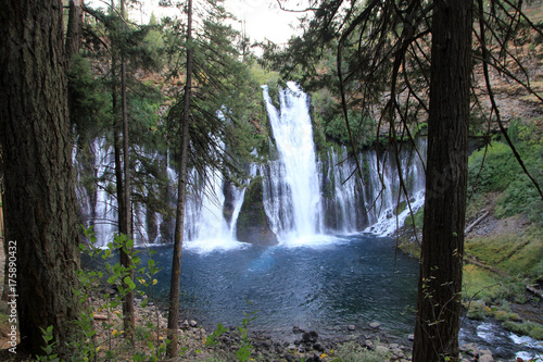 Waterfall Burney in California  USA