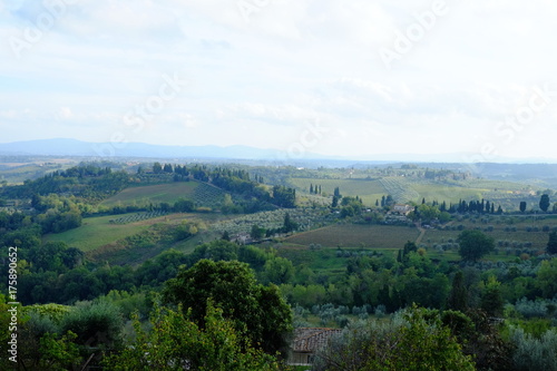 Tuscany lanscape