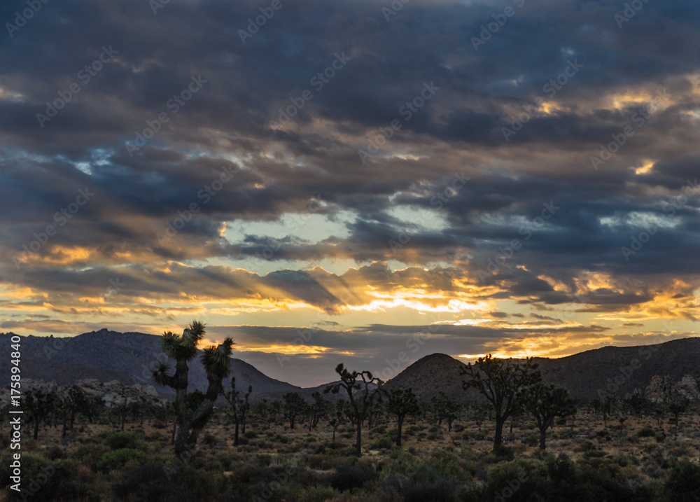 Sunrise over Joshua Tree National Park