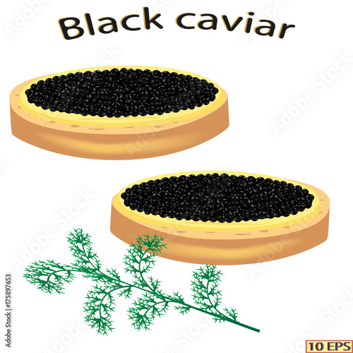 Black caviar. Sandwich with sturgeon caviar isolated on white background.  Vector illustration.