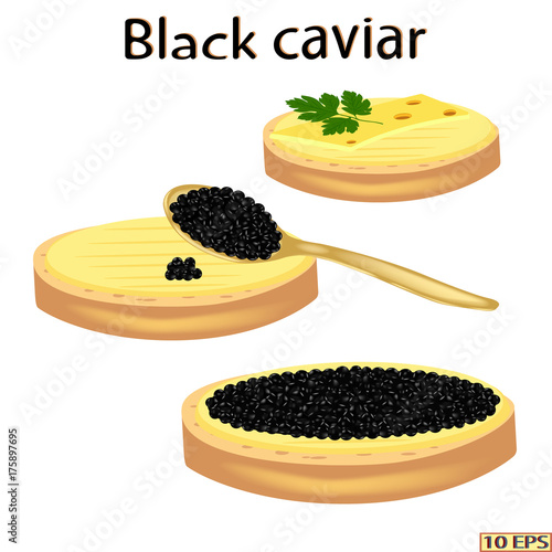 Black caviar. Sandwich with sturgeon caviar isolated on white background.  Vector illustration.