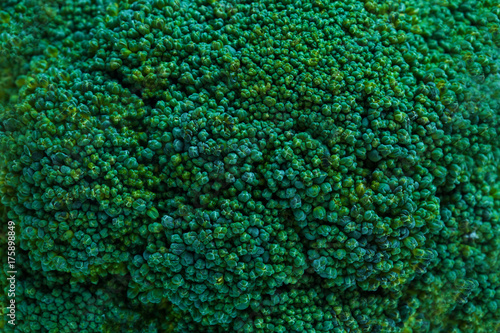 Close-up, broccoli texture.