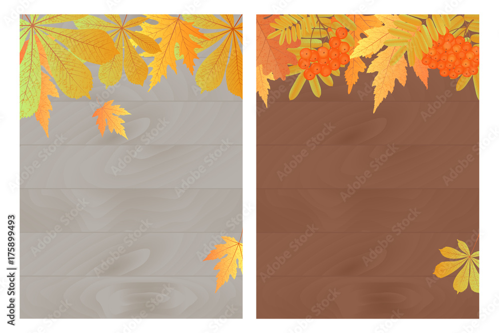 Set of autumn banners with maple, oak, rowan and clusters of mountain ash on a wooden background. Template for a voucher, discount, seasonal sale