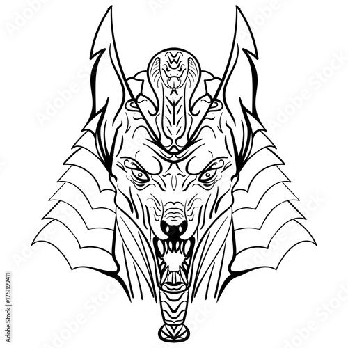 Ancient egyptian god Anubis head illustration