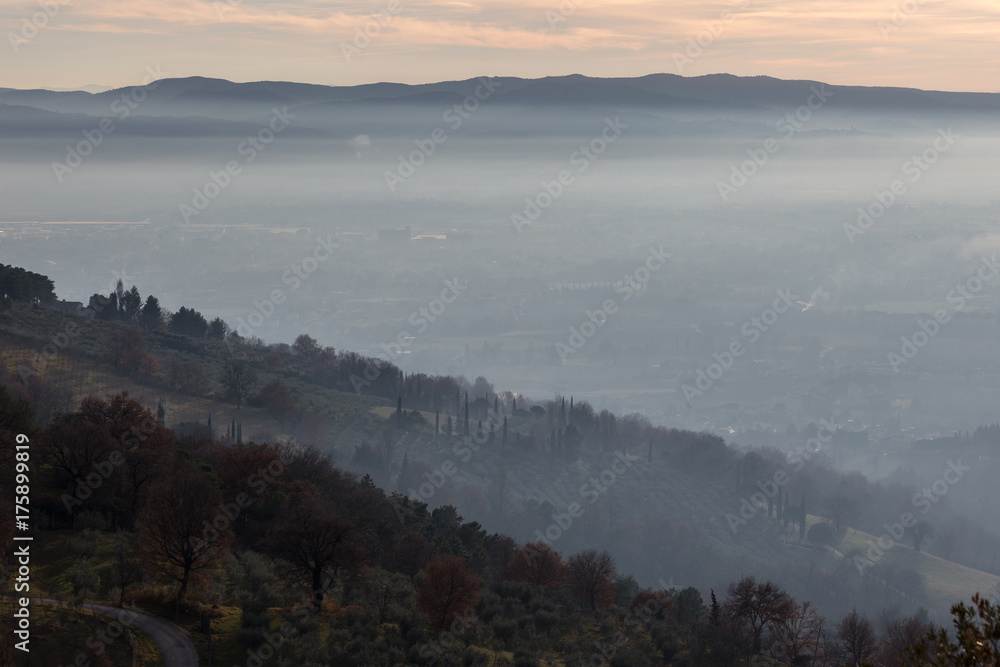 A valley filled by mist at sunset, with a road and trees in the foreground