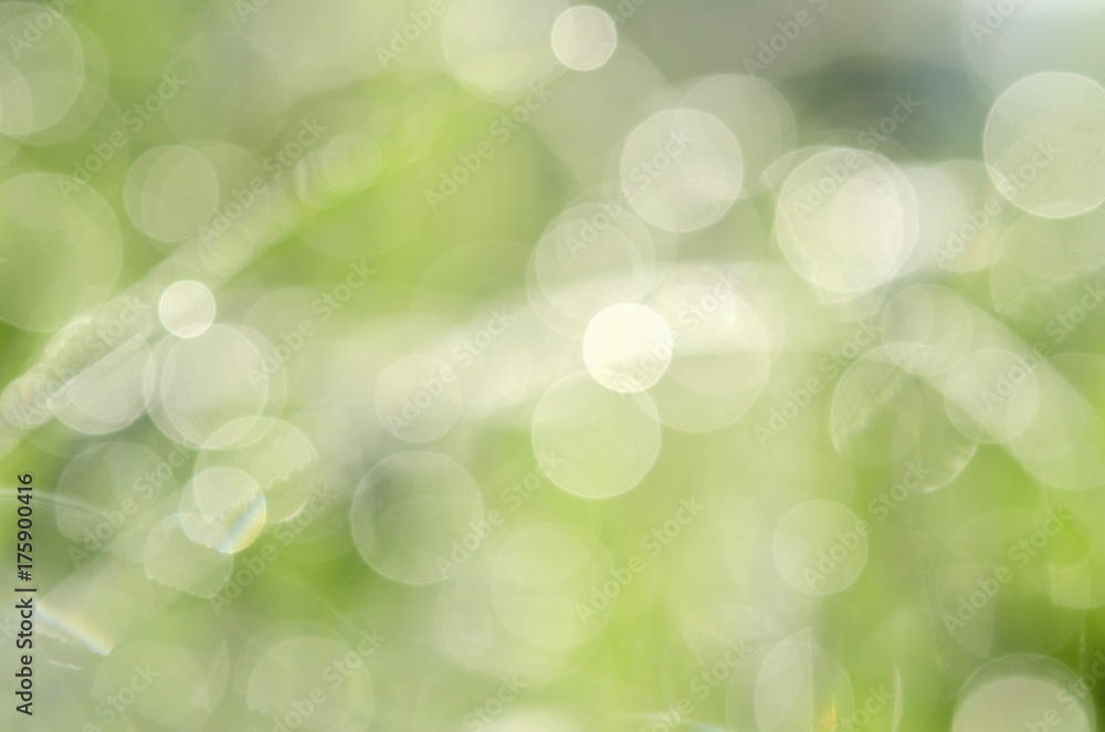 Obraz premium spring green grass with bokeh dew drop background