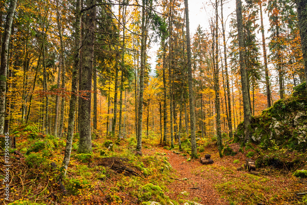 Autumn morning in the alps Autumn morning in the alps