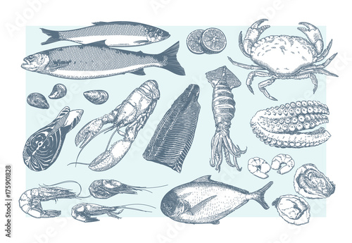 Seafood - hand drawn line art vector set