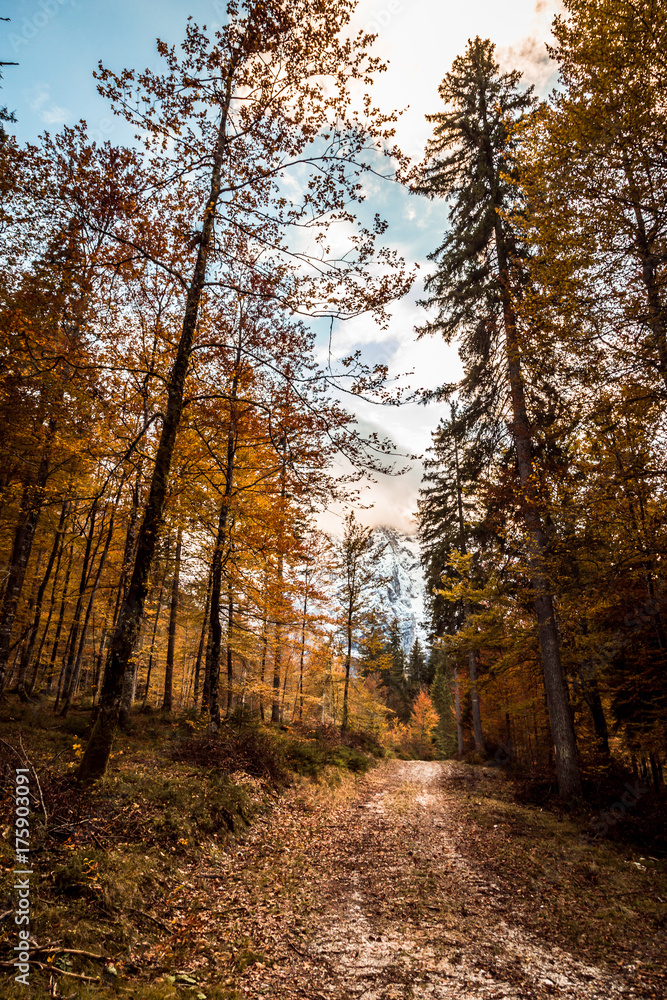trekking path in an autumn day in the alps trekking path in an autumn day in the alps