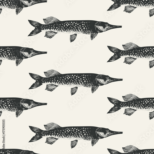 Pike seamless pattern. Hand drawn retro vector illustration. Fish silhouette