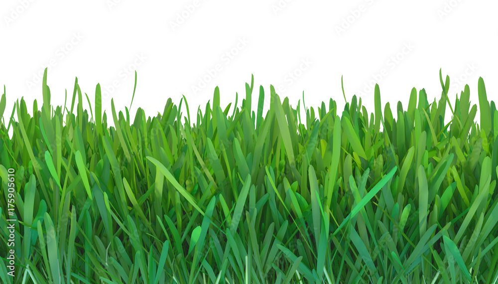 Fototapeta premium green grass nature. plants lawn. 3d rendering
