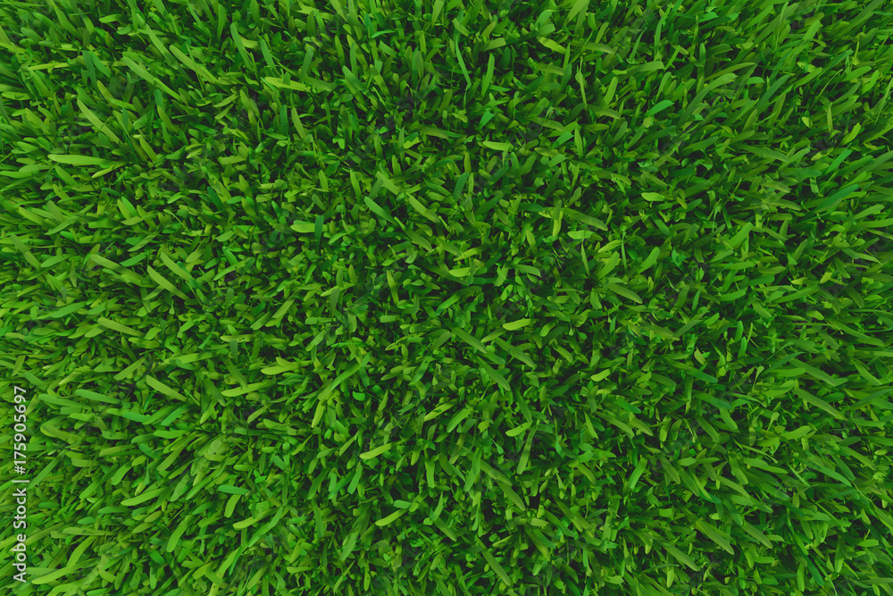 Green grass. background texture. fresh spring green grass. 3d rendering Green grass. background texture. fresh spring green grass. 3d rendering
