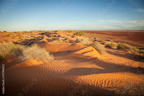 Sturts Stony Desert